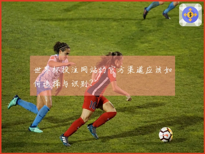 世界杯投注网站的官方渠道应该如何选择与识别?