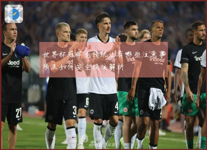 世界杯冠军竞猜玩法有哪些注意事项及如何安全投注解析