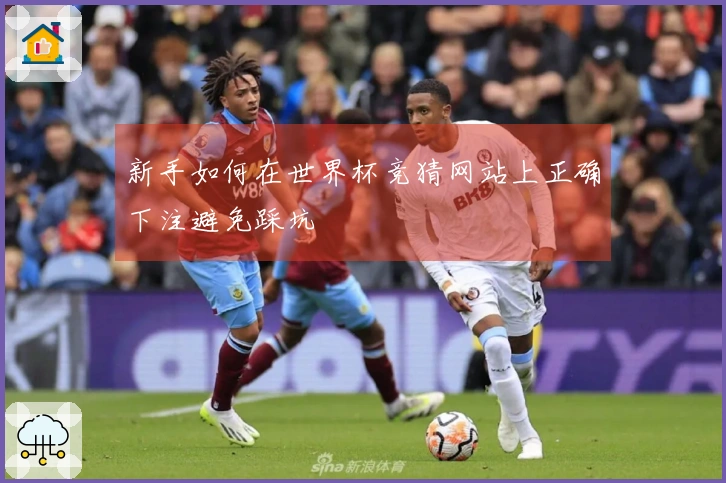 新手如何在世界杯竞猜网站上正确下注避免踩坑