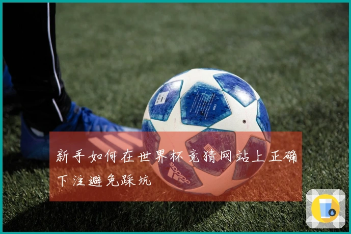 新手如何在世界杯竞猜网站上正确下注避免踩坑